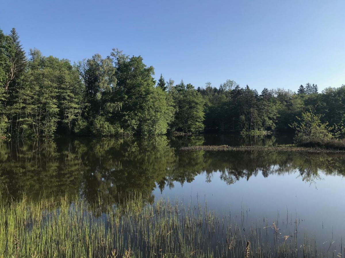 Des Prary Des Mille Etangs Holiday home *